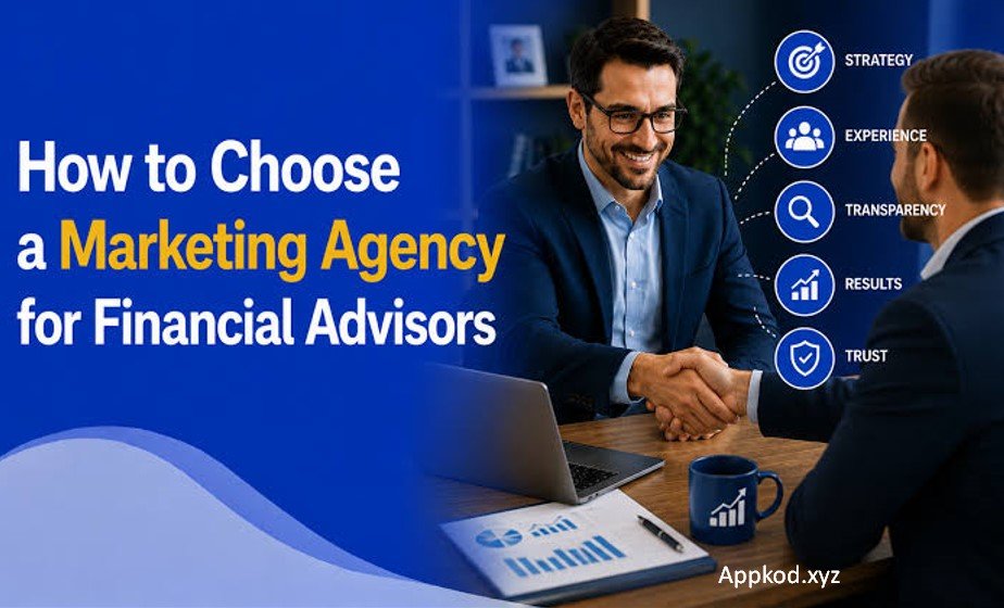 How to Choose the Right Agency